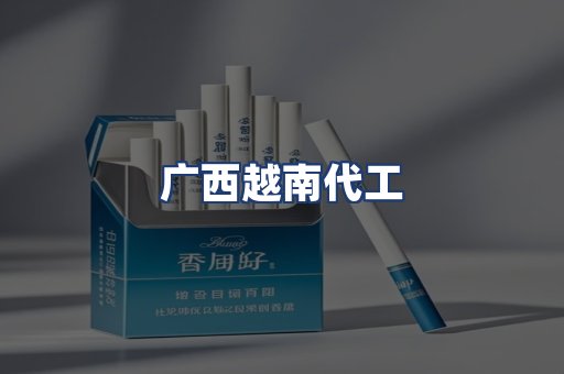 广西越南代工
